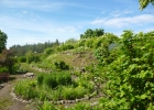 P1020085_1000